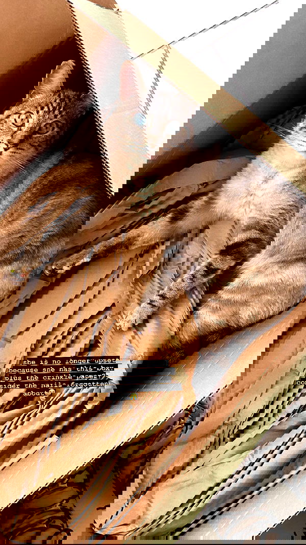 suikomuu suikomuu archive image