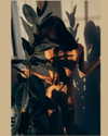 sagi.photo Altpins Profile Picture