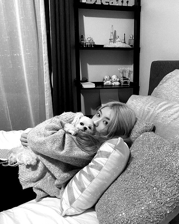 allissashin instagram image archive image