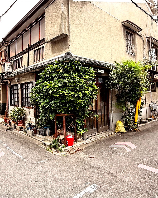 rosessativa instagram image archive image