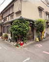 rosessativa Altpins Profile Picture
