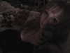 ash.onme Altpins Profile Picture