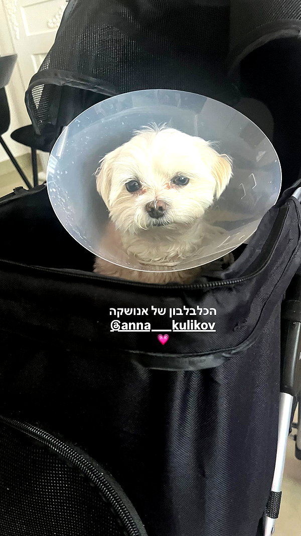 Archived image from @notchicore on Instagram