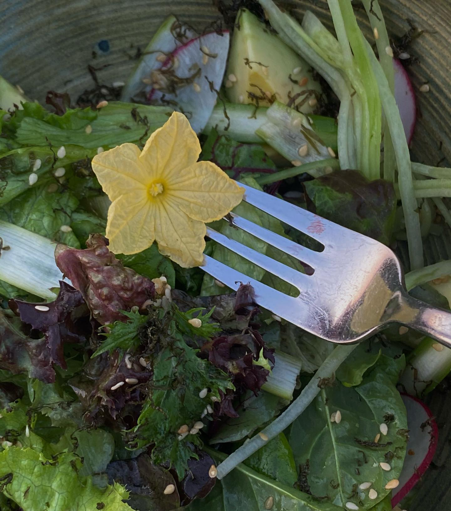 kkulakovaa instagram image archive image