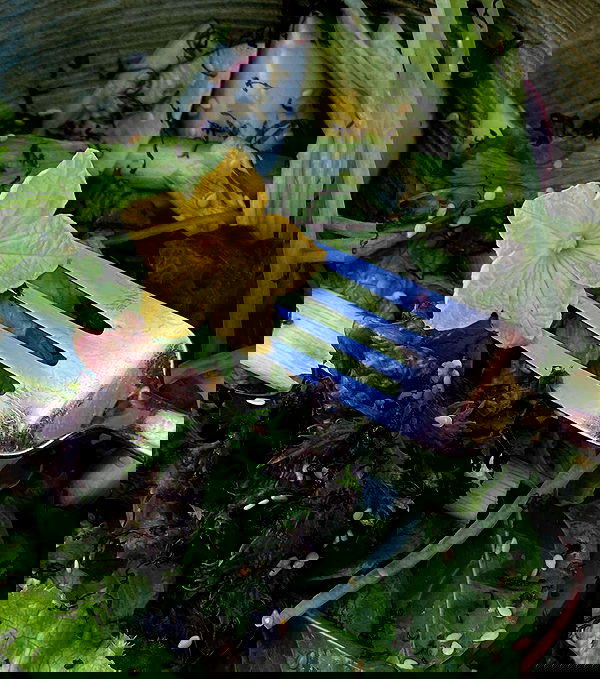 kkulakovaa image ~ Altpins