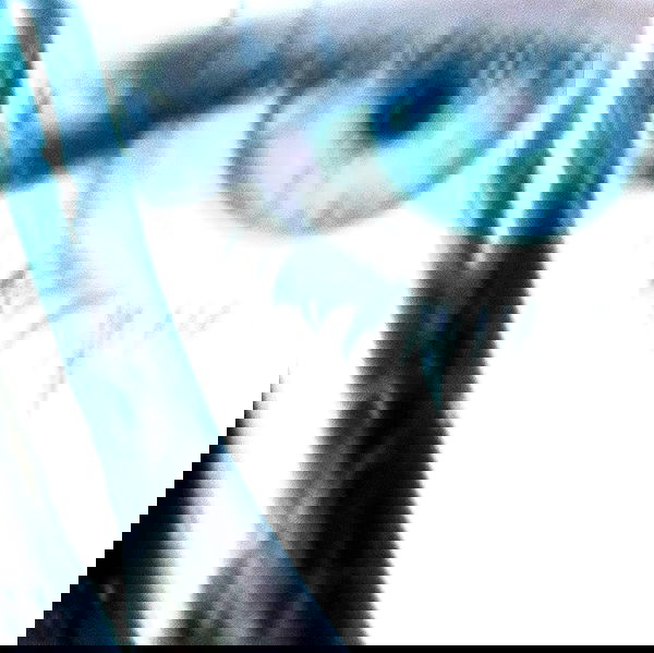 moonliliaght moonliliaght archive image