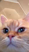 marilyn_damaged Altpins Profile Picture