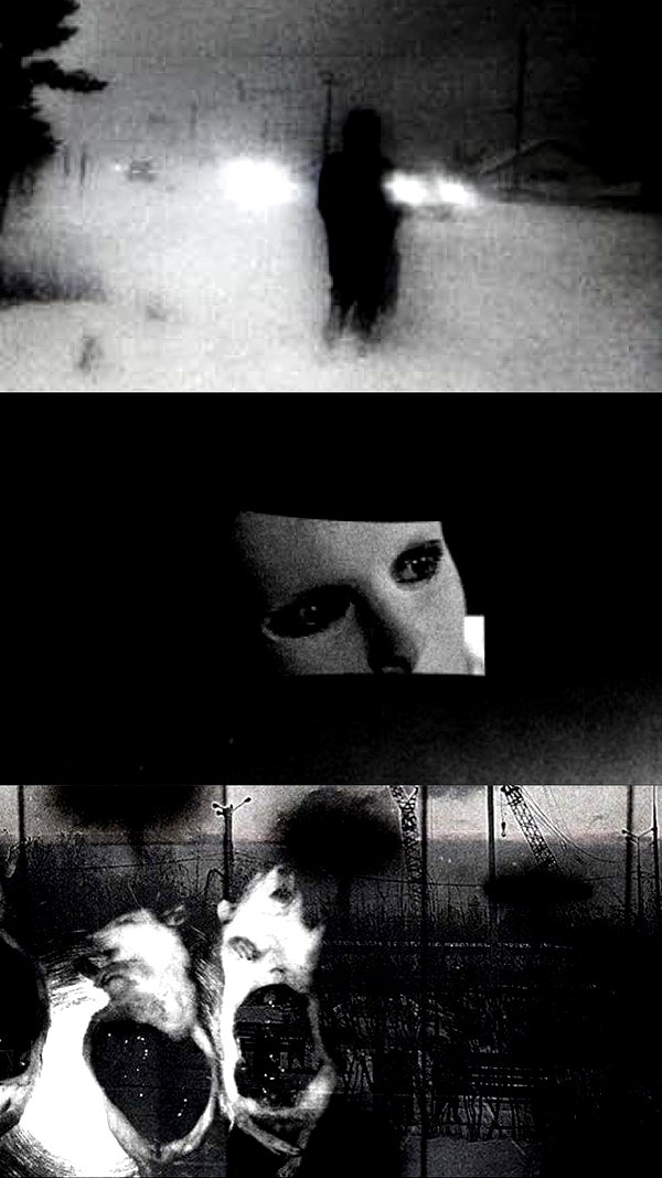 danafetishistova danafetishistova archive image