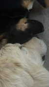 analuvillarreal Altpins Profile Picture