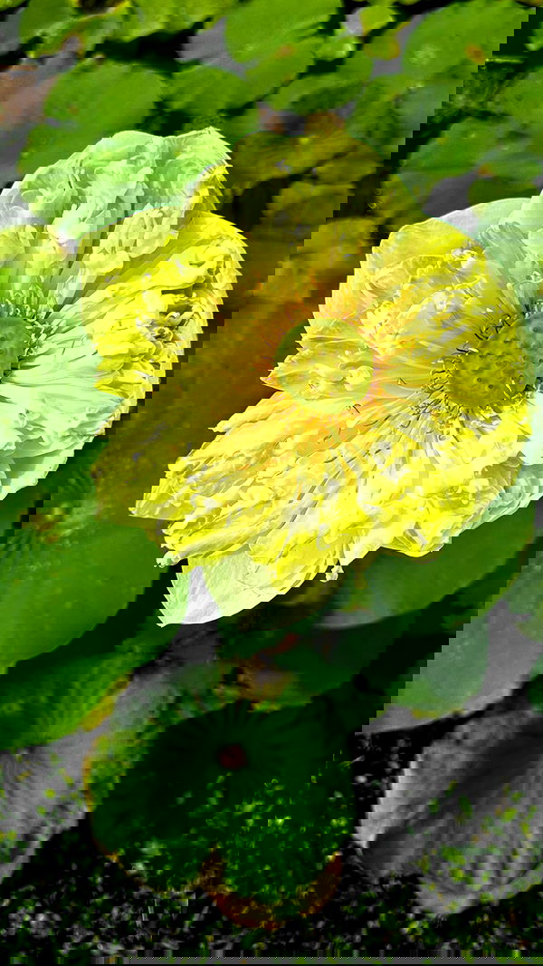 taylor.creeden taylor.creeden archive image