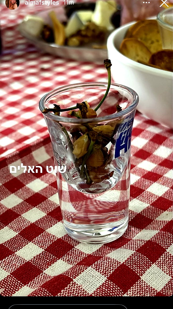 dante_yangpa instagram image archive image