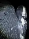 chica.niebla Altpins Profile Picture