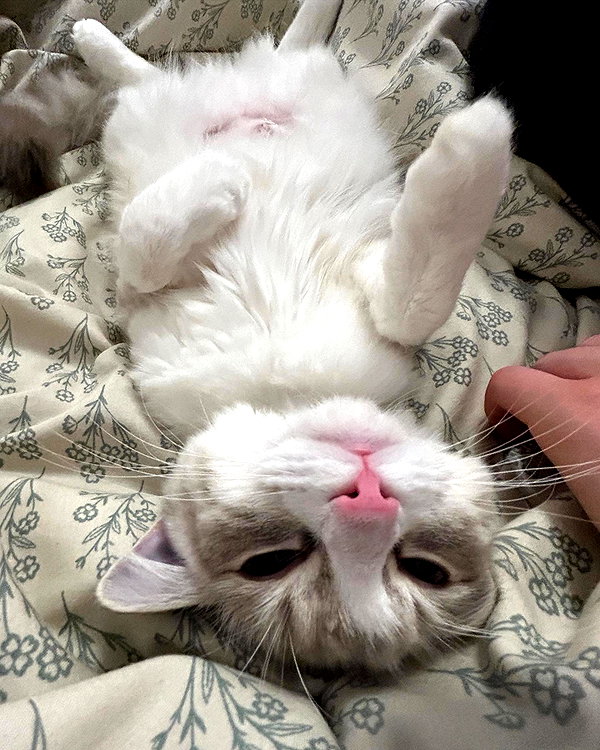 catl0verr69 instagram image archive image