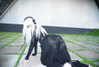 amellliiaa Altpins Profile Picture