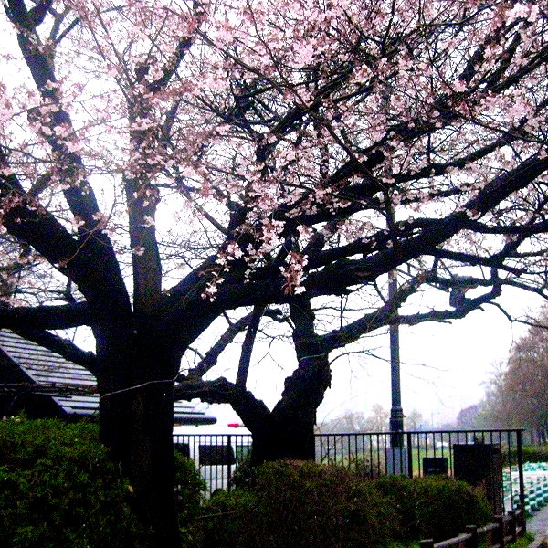 lolontlia instagram image archive image