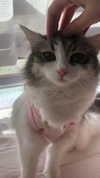 yuna_1_27 Altpins Profile Picture