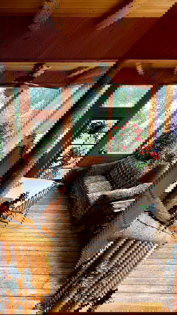 thelizzyporter thelizzyporter archive image