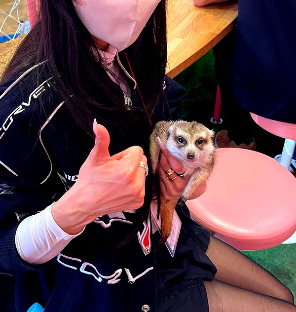 sssniperwolf instagram image archive image