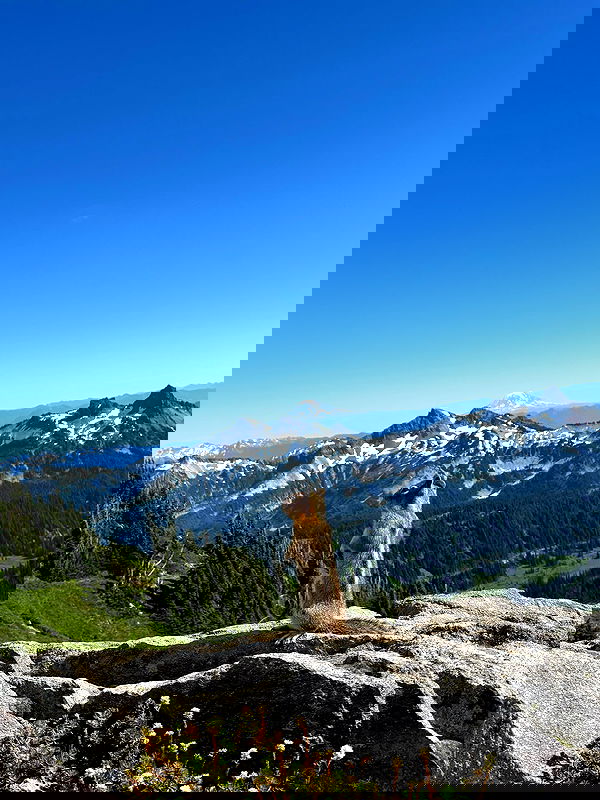 thelizzyporter thelizzyporter archive image