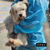 kdsrescue Altpins Profile Picture