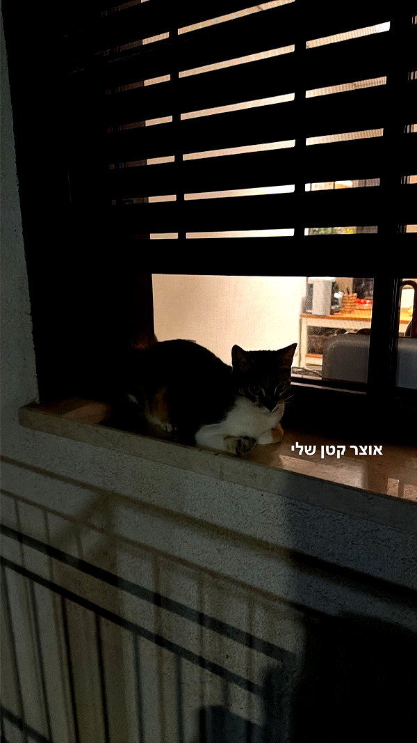 Archived image from @lia_ey99 on Instagram
