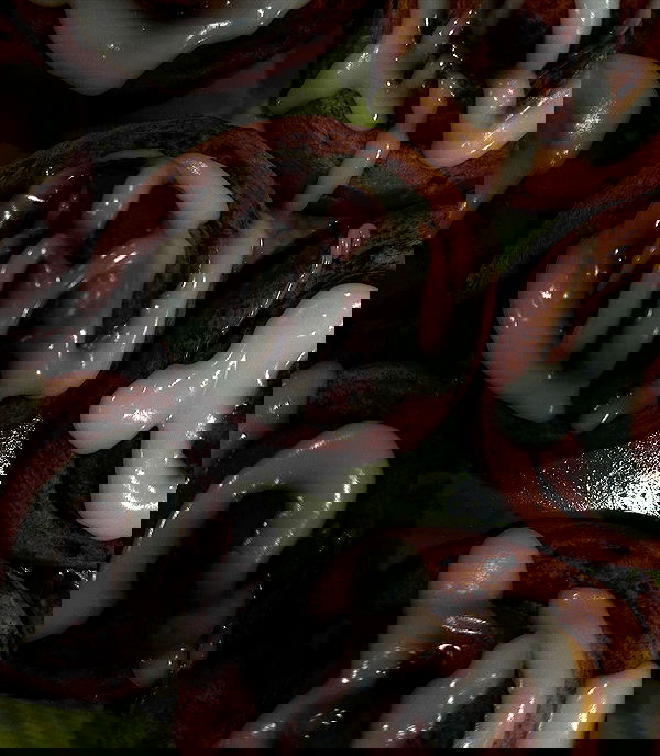 taylor.creeden taylor.creeden archive image