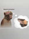 milkiwifey Altpins Profile Picture