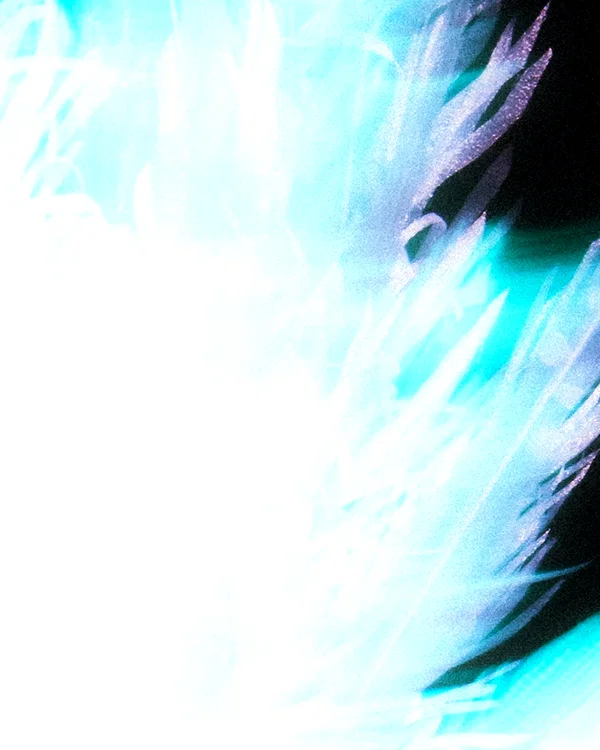 zuhazana instagram image archive image