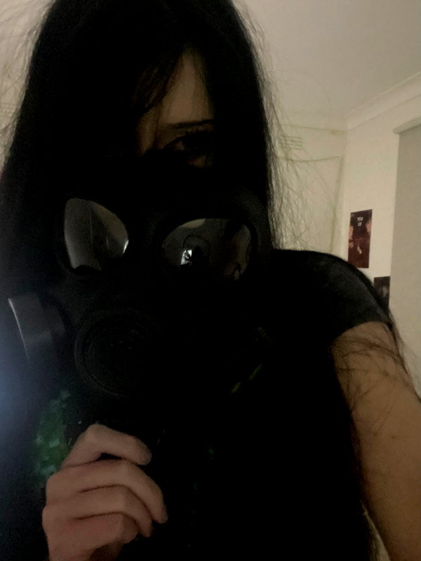 Archived image from @meowwmaxxer on Instagram