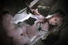 krystallea.cs Altpins Profile Picture