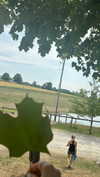 olivia.bolgerr Altpins Profile Picture