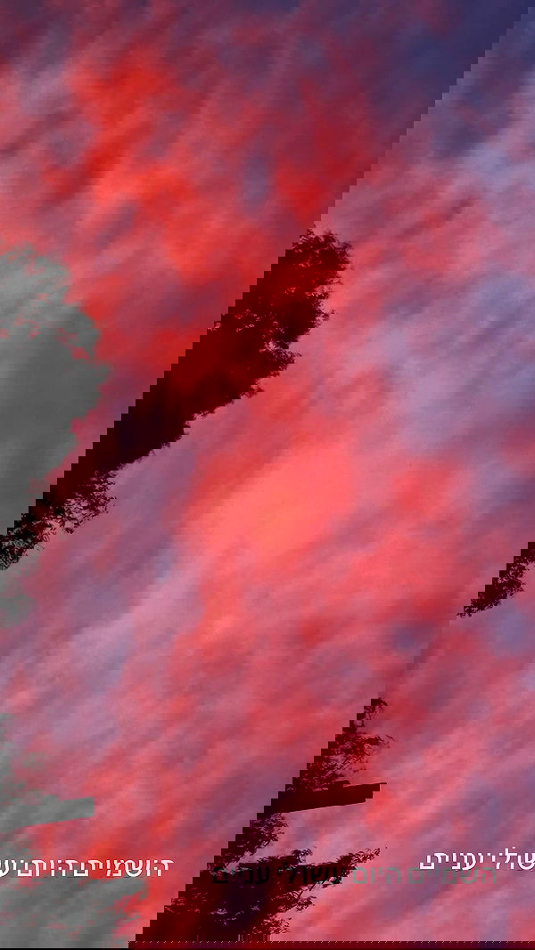 laluzone laluzone archive image