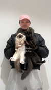 leni.bahr Altpins Profile Picture
