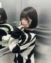 1zxhy__ Altpins Profile Picture