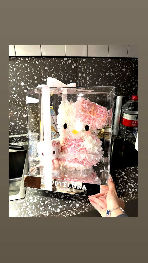 Archived image from @xiaoxinbue on Instagram