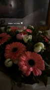 _._dianush._ Altpins Profile Picture