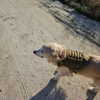 muze Altpins Profile Picture