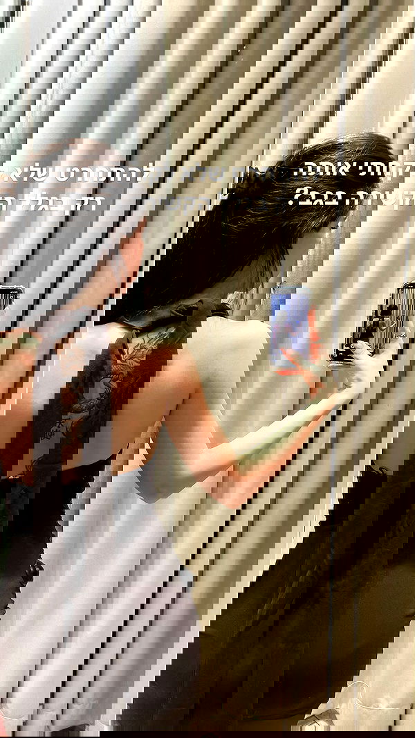 tuliprivet tuliprivet archive image