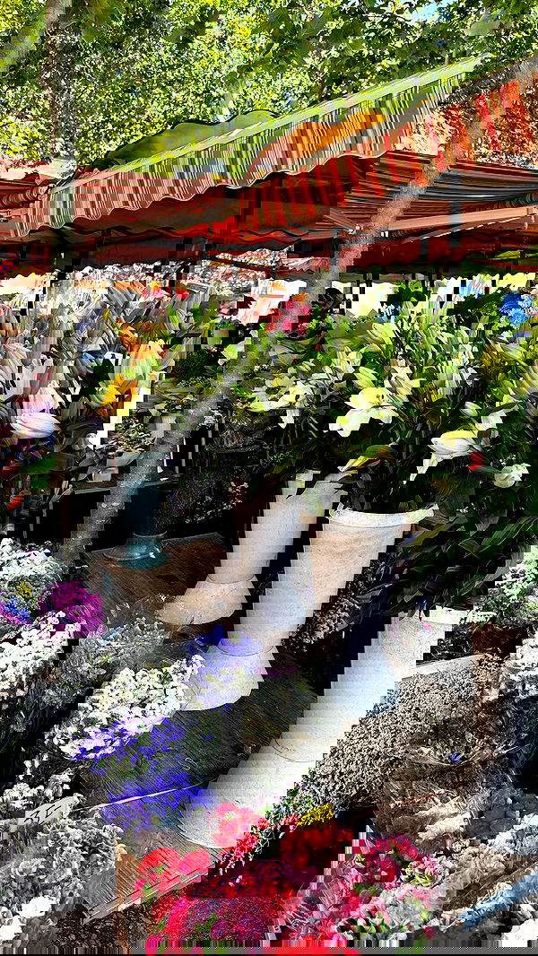 taylor.creeden taylor.creeden archive image