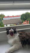 777pb_ Altpins Profile Picture