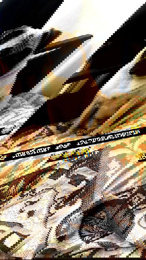 nyityam nyityam archive image