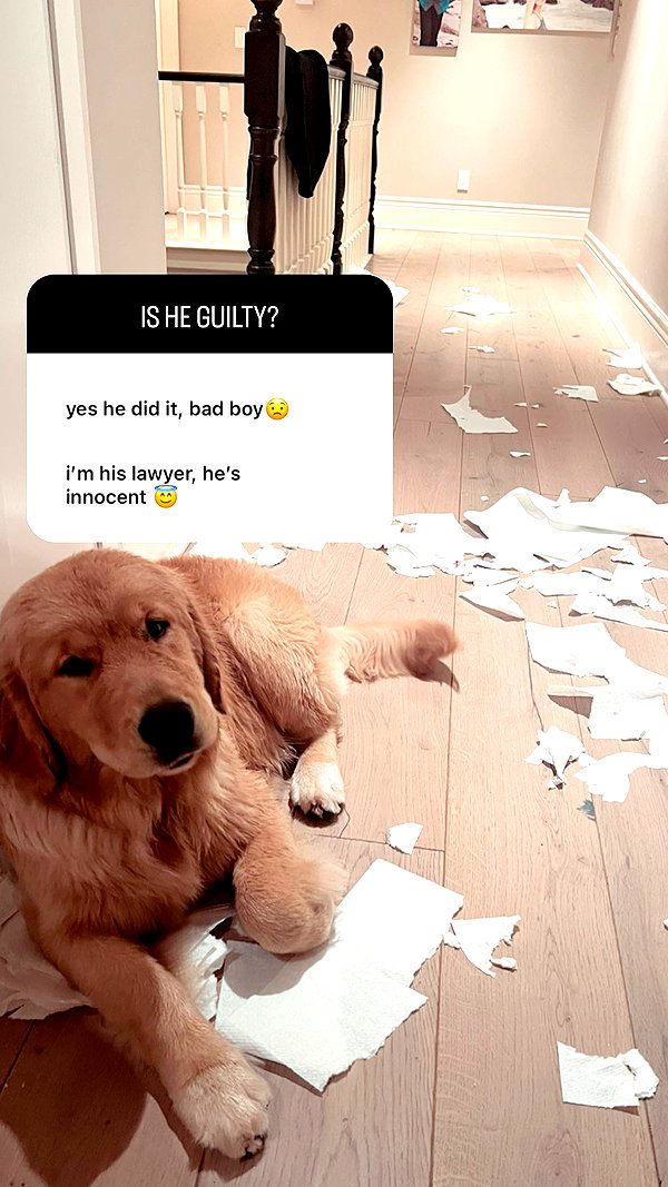allie_dunn instagram image archive image