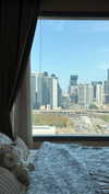 dina_shrago Altpins Profile Picture