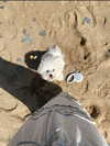 fair_mua Altpins Profile Picture