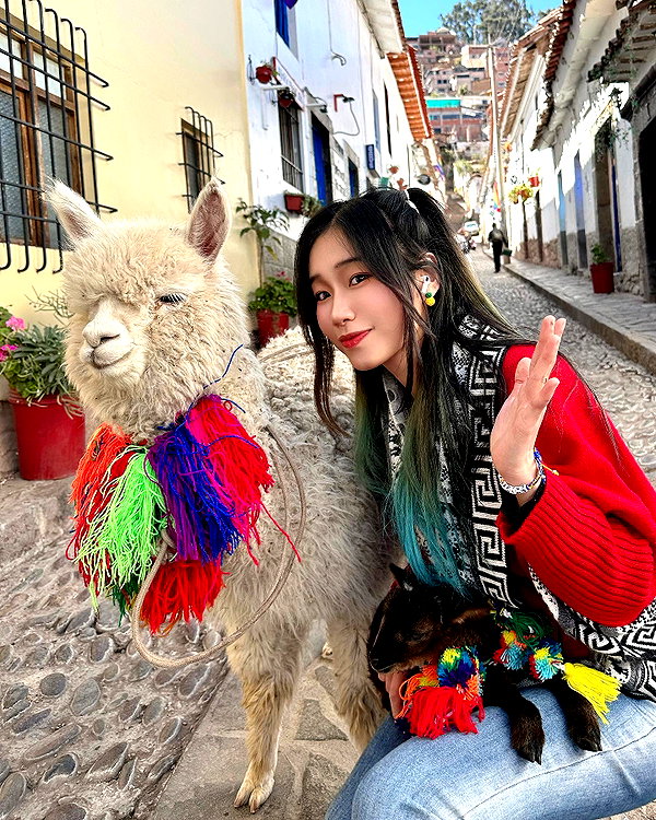 shulunc instagram image archive image