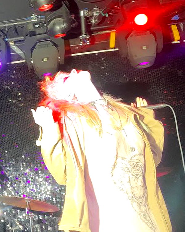 bugz4brainz instagram image archive image