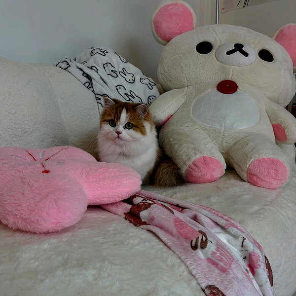 mennyaah instagram image archive image