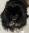 katrina.zaiceva Altpins Profile Picture