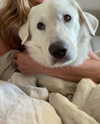 jenniferaniston Altpins Profile Picture