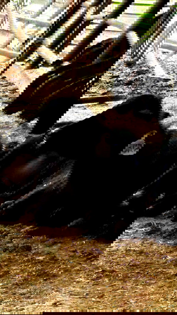 laluzone laluzone archive image